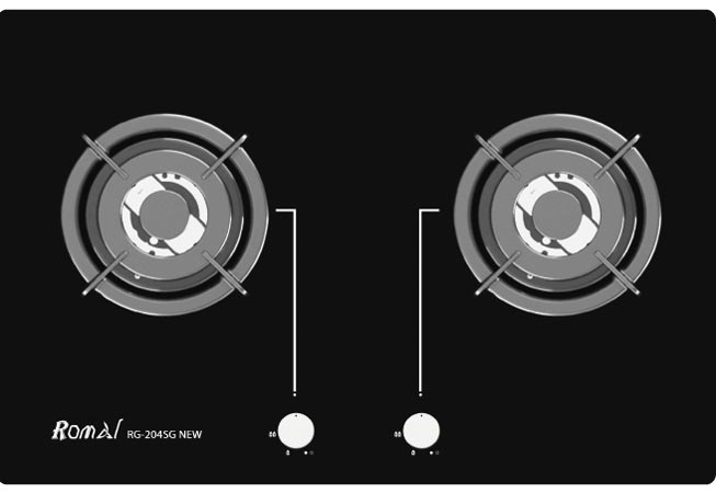 bếp gas đôi rg 204sg